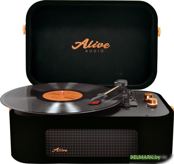 Виниловый проигрыватель Alive audio Stories (черный) - фото