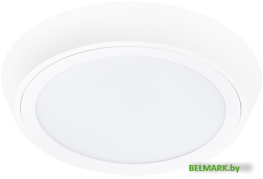 Точечный светильник Lightstar Urbano 216904 - фото