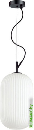 Подвесная люстра Odeon Light Roofi 4751/1 - фото