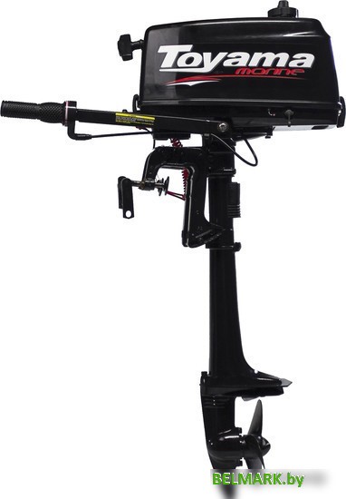 Лодочный мотор Toyama T2.6СBMS - фото2