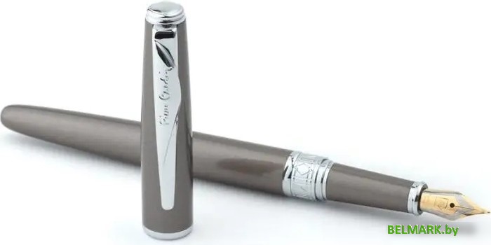 Ручка перьевая Pierre Cardin Secret Business PCA1561FP - фото