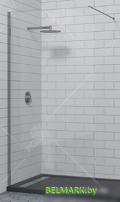 Душевая стенка RGW WA-010 351001013-11 130 (хром/прозрачное стекло) - фото2