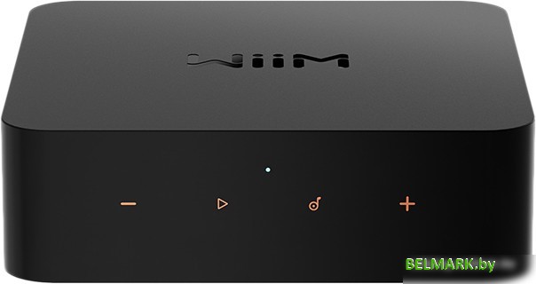 Сетевой проигрыватель WiiM Pro - фото