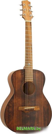 Акустическая гитара Randon RGI-14 Mini-VT - фото