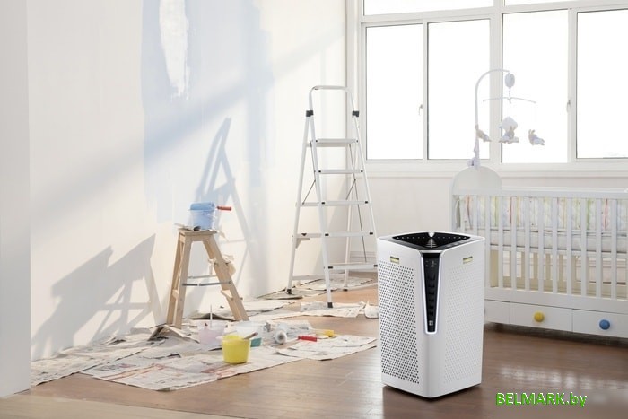 Очиститель воздуха Karcher AF 100 1.024-810.0 - фото2