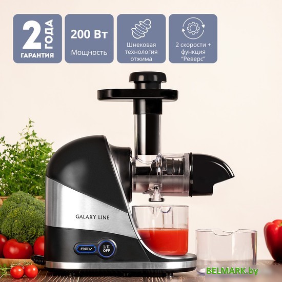 Соковыжималка Galaxy Line GL0817 - фото