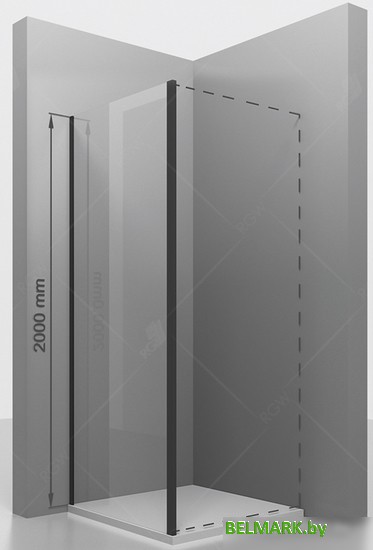 Душевая стенка RGW Z-050-3B 120 (черный/прозрачное стекло) - фото