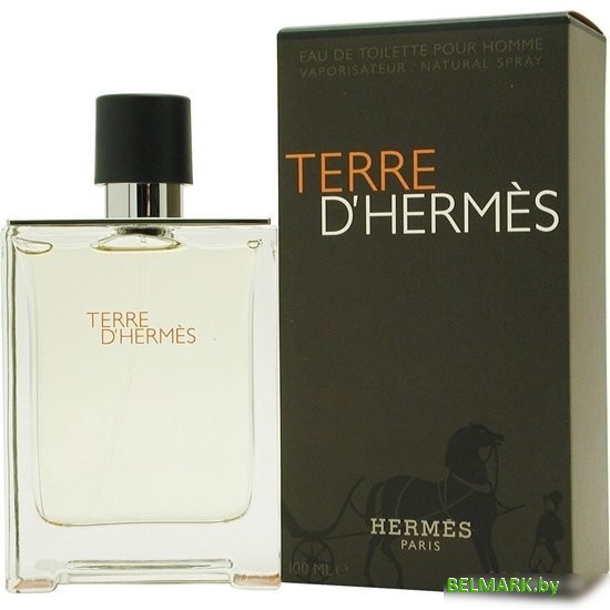 Hermes Terre d'Hermes EdT (100 мл) - фото2
