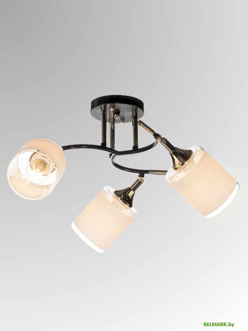 Спот Aitin Pro НПБ 02-3x60-101 N6089/3 (кофе/золото) - фото2