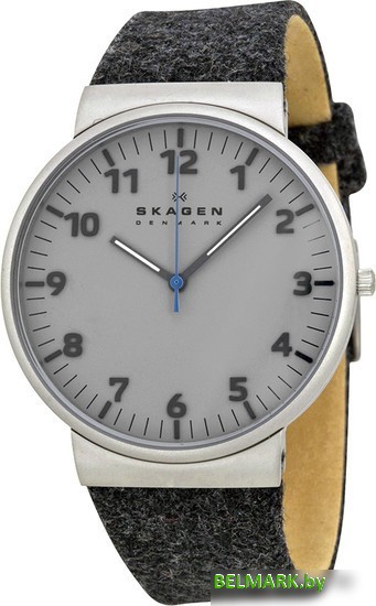 Наручные часы Skagen SKW6097 - фото