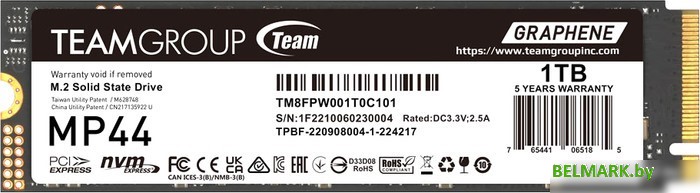 SSD Team MP44 1TB TM8FPW001T0C101 - фото