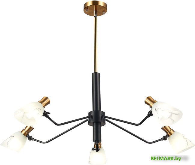 Подвесная люстра Evoluce Lita SLE205403-05 - фото