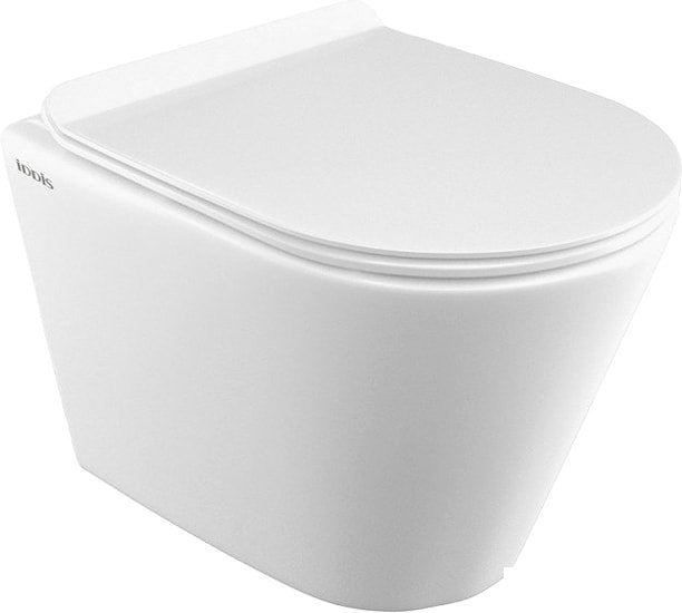 Унитаз IDDIS Calipso CALRDSEi25 - фото