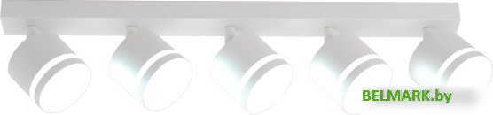 Спот TruEnergy 21023 - фото