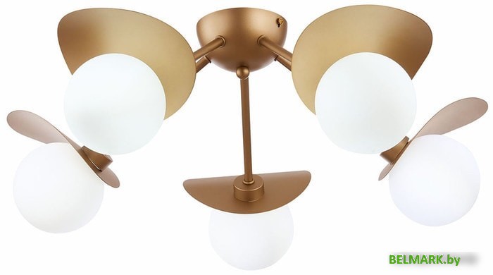 Припотолочная люстра Evoluce Bolzano SLE220502-05 - фото