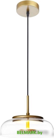 Подвесная люстра LOFT IT DISK 8210-P - фото