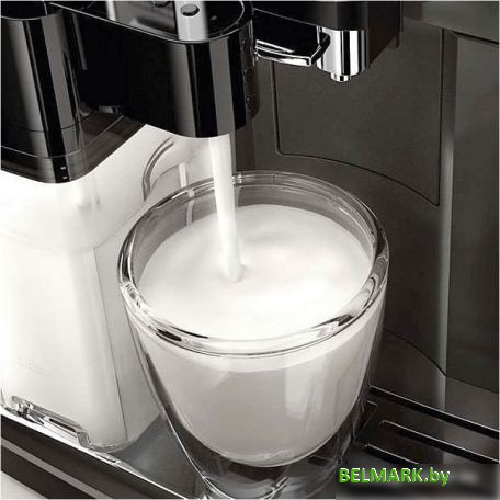 Кофемашина Gaggia Anima Class OTC RI8759/01 - фото2