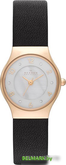 Наручные часы Skagen SKW2209 - фото2