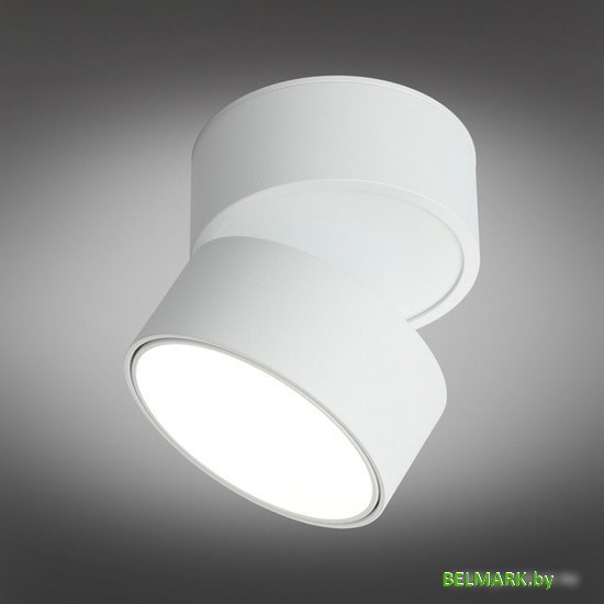 Спот Omnilux Lenno OML-101309-12 - фото2