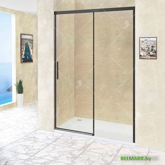 Душевая дверь RGW LE-12B 110 - фото