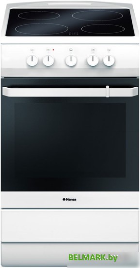 Кухонная плита Hansa FCCW54000 - фото
