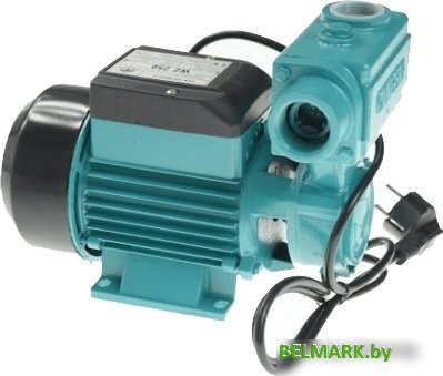 Самовсасывающий насос Greenpump WZ 250 - фото