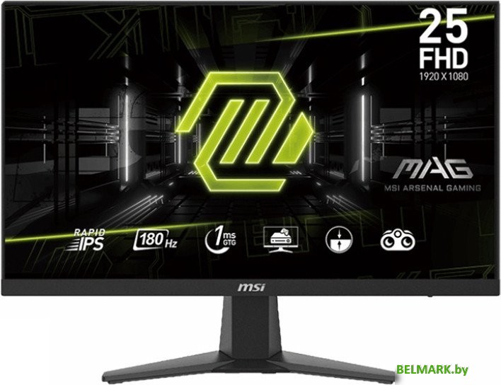 Игровой монитор MSI MAG 256F - фото