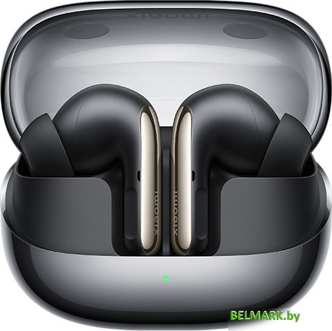 Наушники Xiaomi Buds 5 Pro Wi-Fi M2438E1 (черный, международная версия) - фото