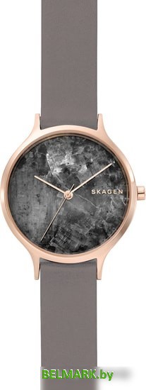 Наручные часы Skagen SKW2672 - фото