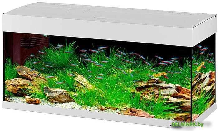 Аквариум Ferplast Dubai 100 led 240 л (белый) - фото