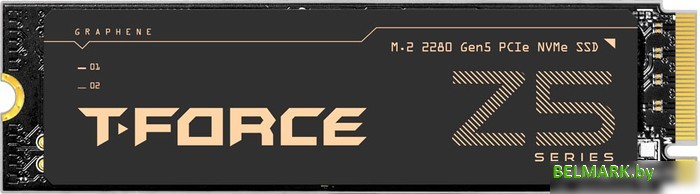 SSD Team T-Force Cardea Z540 2TB TM8FF1002T0C129 - фото