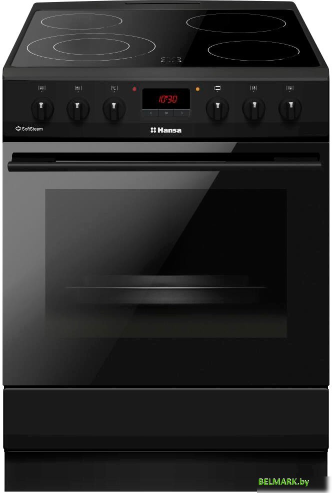 Кухонная плита Hansa FCCM58209H - фото