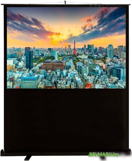 Проекционный экран CACTUS FloorCompactExpert 68x120 CS-PSFLCE-120X68 - фото