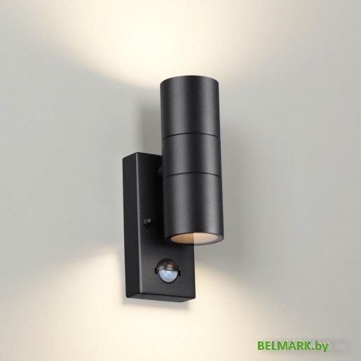 Уличный настенный светильник Odeon Light Motto 4389/2W - фото2