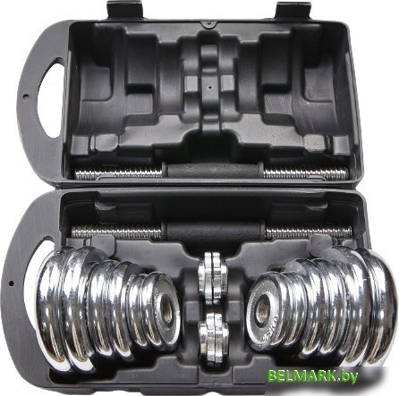 Набор гантелей Ametist хромированные в чемодане 20 кг - фото