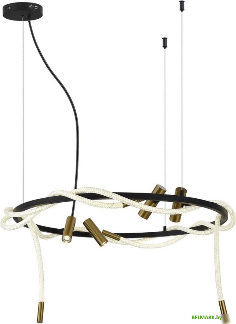 Подвесная люстра Aployt APL.066.03.70 - фото