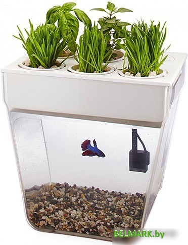 Акваферма Назад к истокам AquaFarm 11 л (белый) - фото