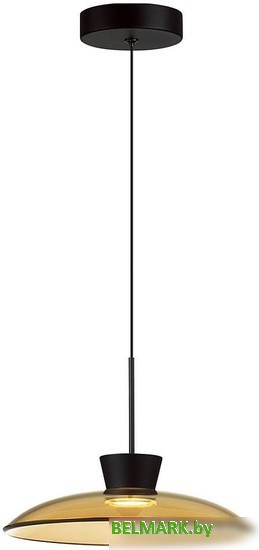 Подвесная люстра Odeon Light Saucer 5055/9LA - фото2