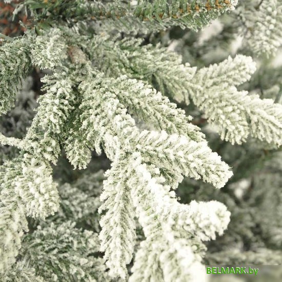 Ель GrandSiti Адель 2.4 м - фото2