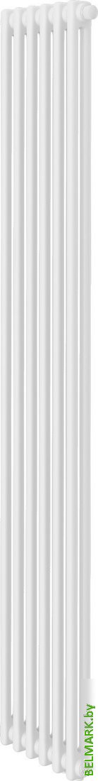 Стальной трубчатый радиатор Royal Thermo Insignia VC2180 - 06 секций RAL9016 - фото