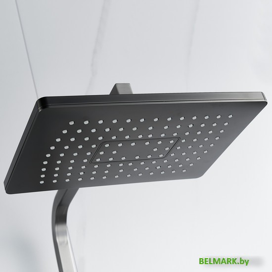 Душевая система Rose R1556T - фото2