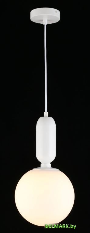 Подвесная люстра Aployt Aniela APL.612.16.01 - фото2