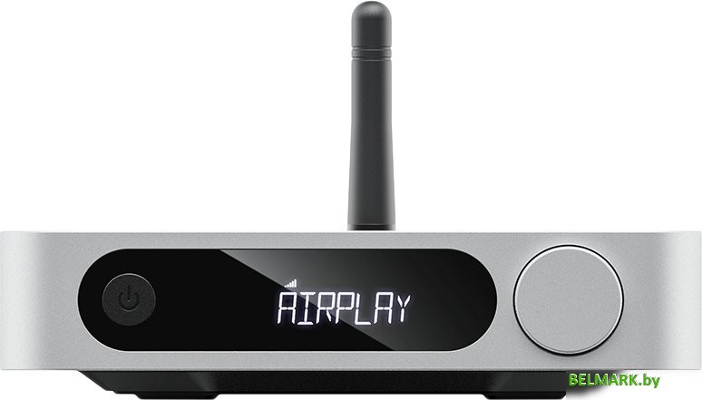 Сетевой ресивер FiiO SR11 (серебристый) - фото