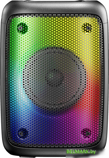 Беспроводная колонка Hyundai H-PS1006 - фото