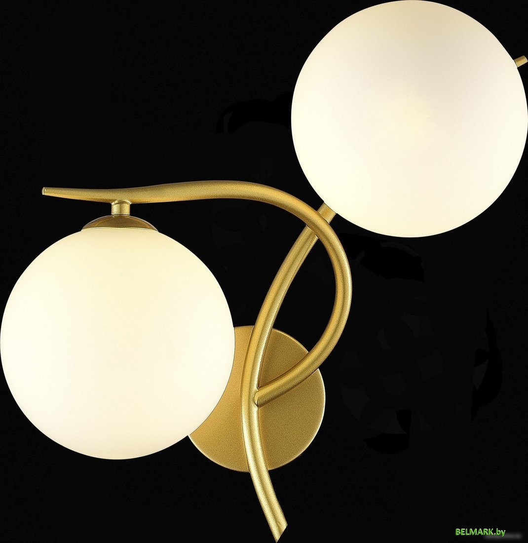 Бра Evoluce Artu SLE2210-201-02 - фото