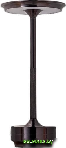 Настольная лампа Kinklight Ренна 07207-T.19 (черный) - фото