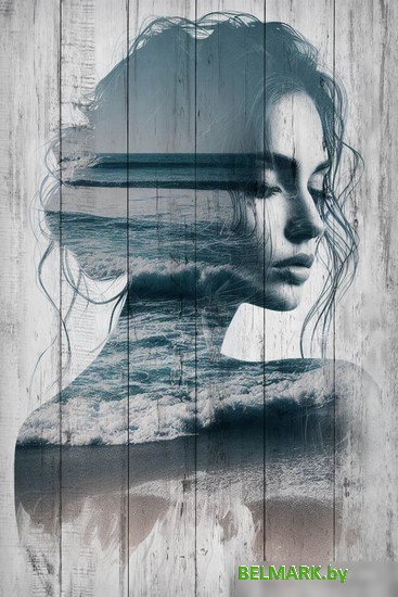 Картина White Wood B112-V-036-055-6.50 55x36 см - фото