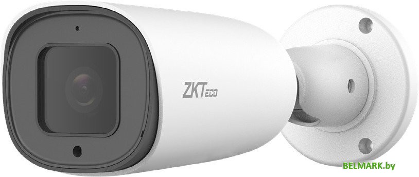 IP-камера ZKTeco BL-852T50A-S6 - фото