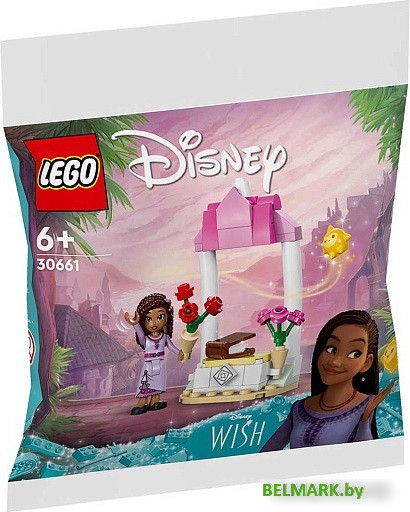 Конструктор LEGO Disney Princess 30661 Приветственный стенд Аши - фото