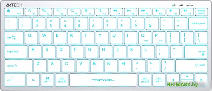 Клавиатура A4Tech Fstyler FX61 (серебристый/белый) - фото
